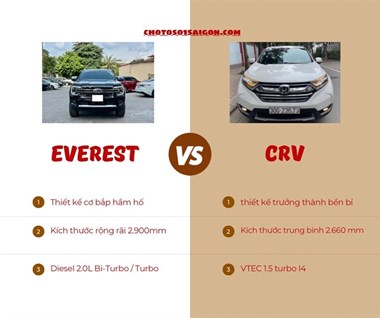 So sánh Ford Everest 2022 và Honda CR-V 2022: Xe nào đáng mua?